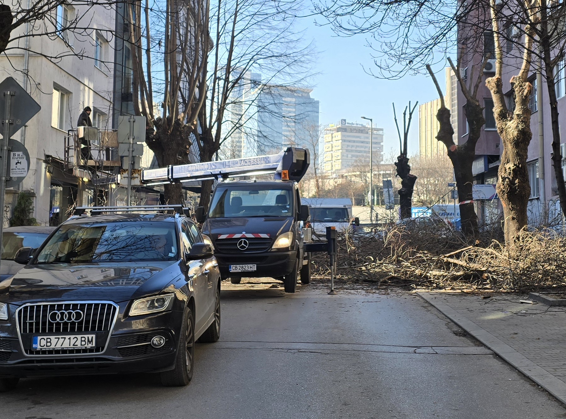 Задръствания заради "спасяването" ни от дървета по улица "Любен Каравелов" в София 6 20241219 1121390