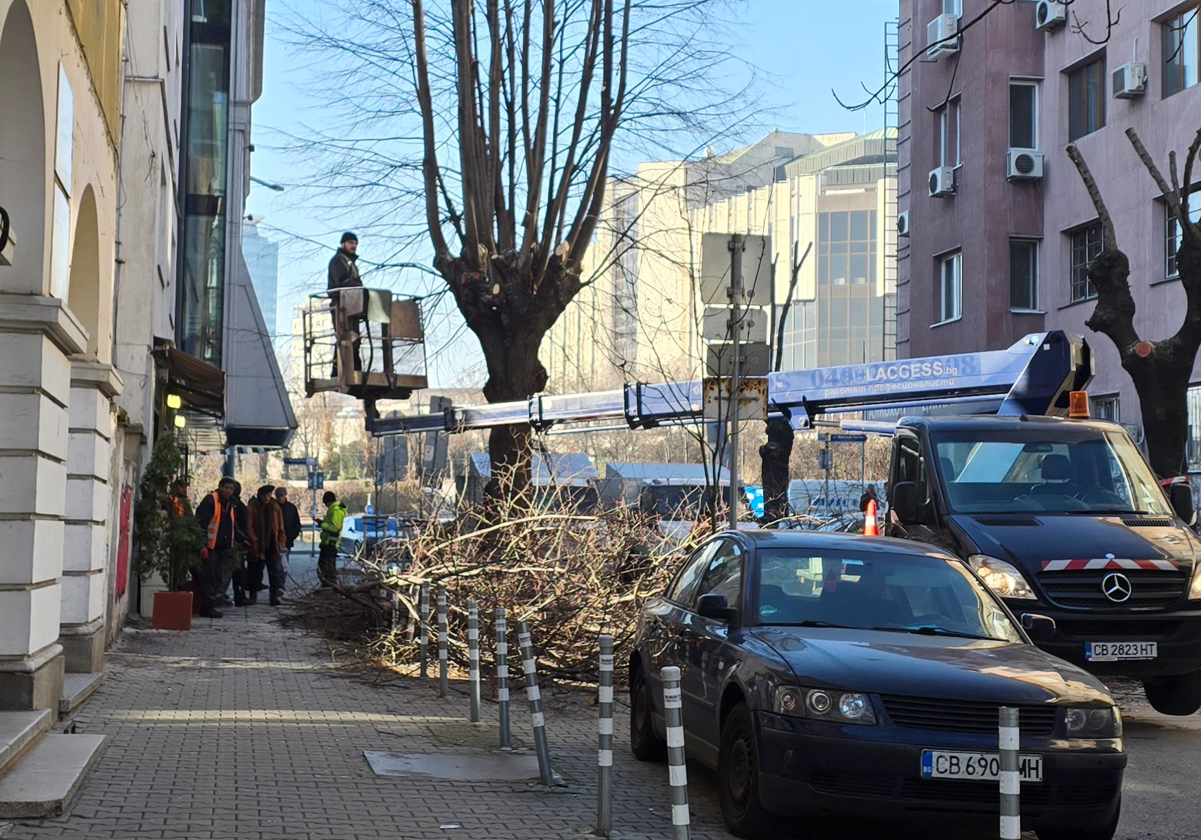 Задръствания заради "спасяването" ни от дървета по улица "Любен Каравелов" в София 4 20241219 112148