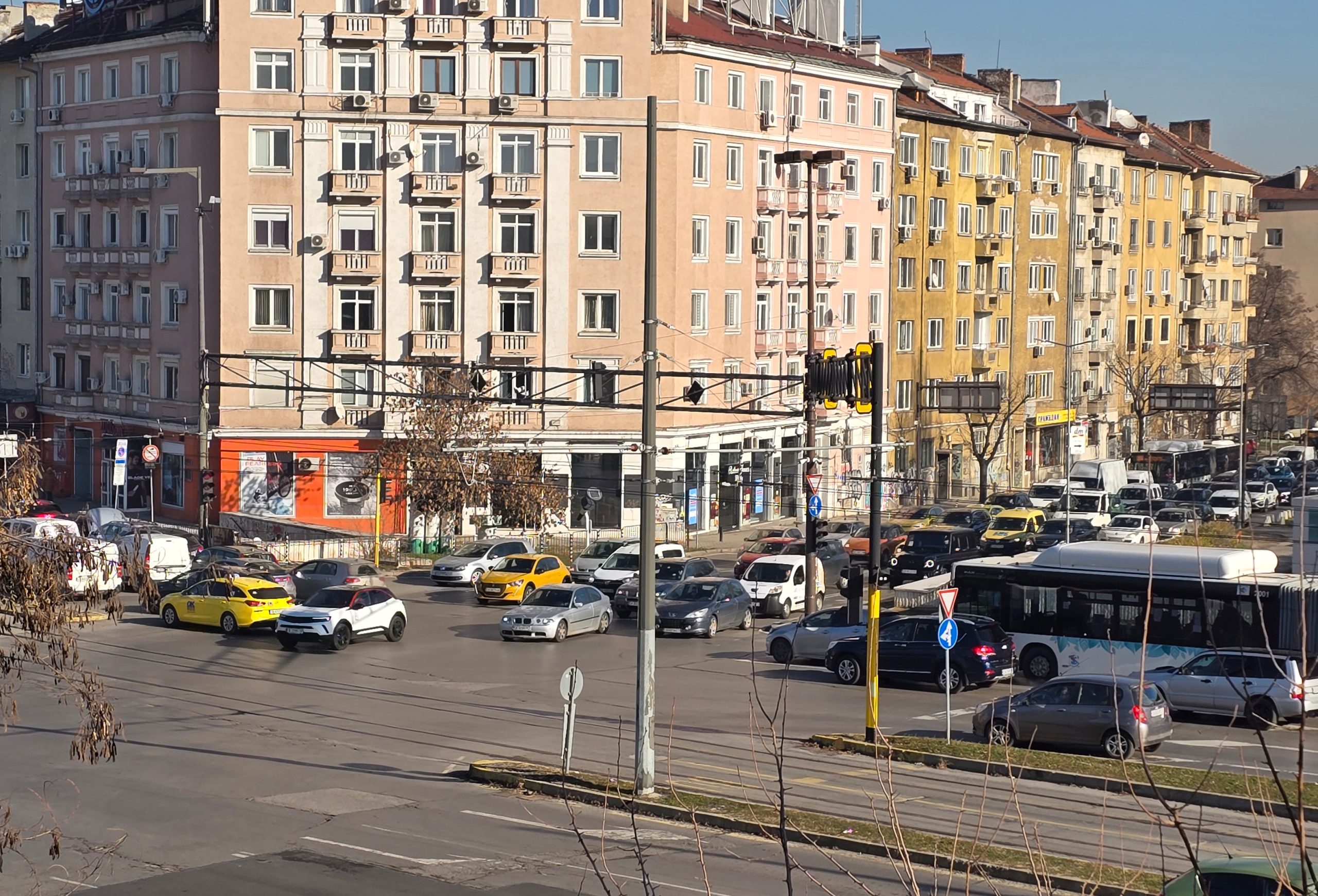 Задръствания заради "спасяването" ни от дървета по улица "Любен Каравелов" в София 5 20241219 113426 scaled