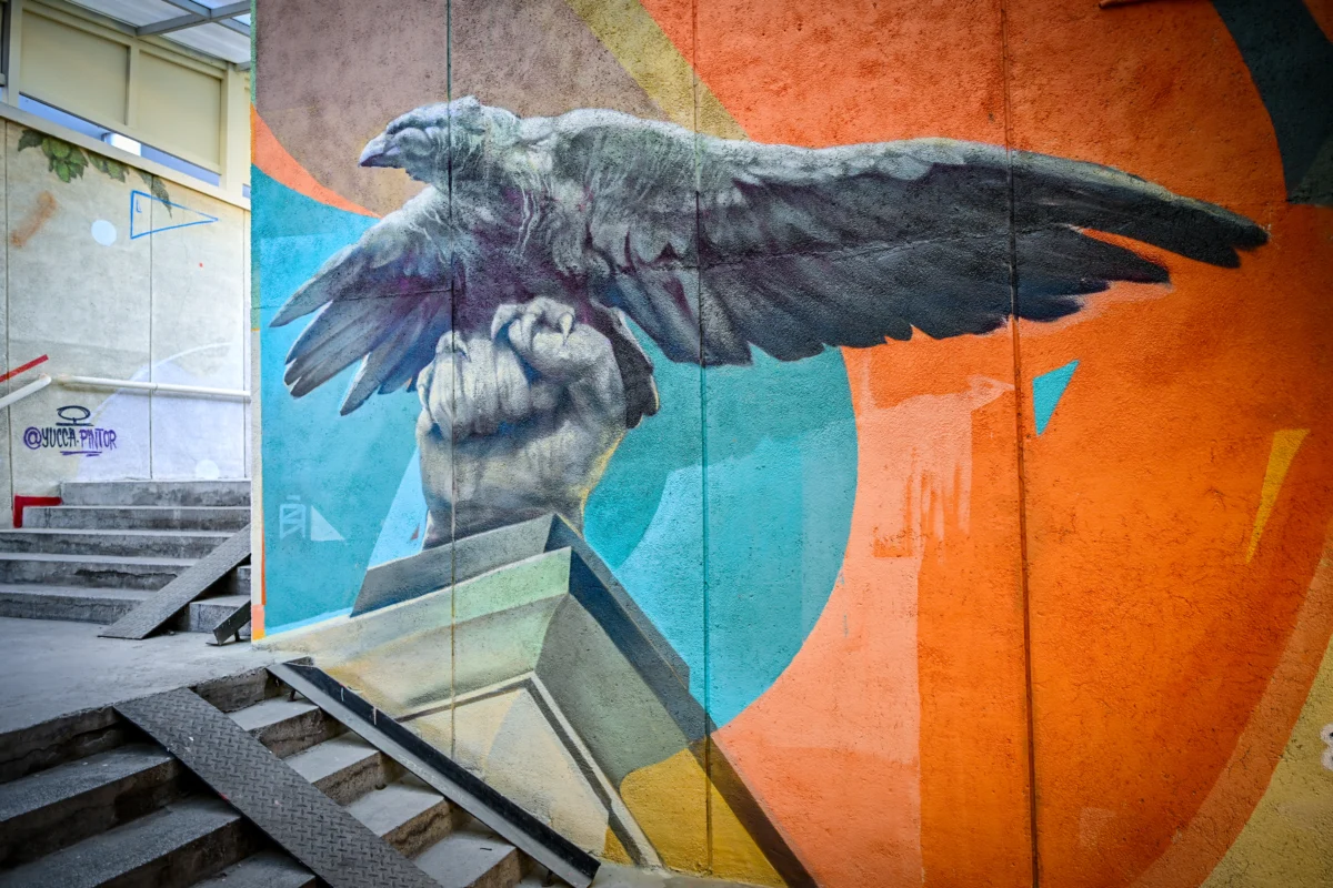 2026 01 02 podlez poduyane 9