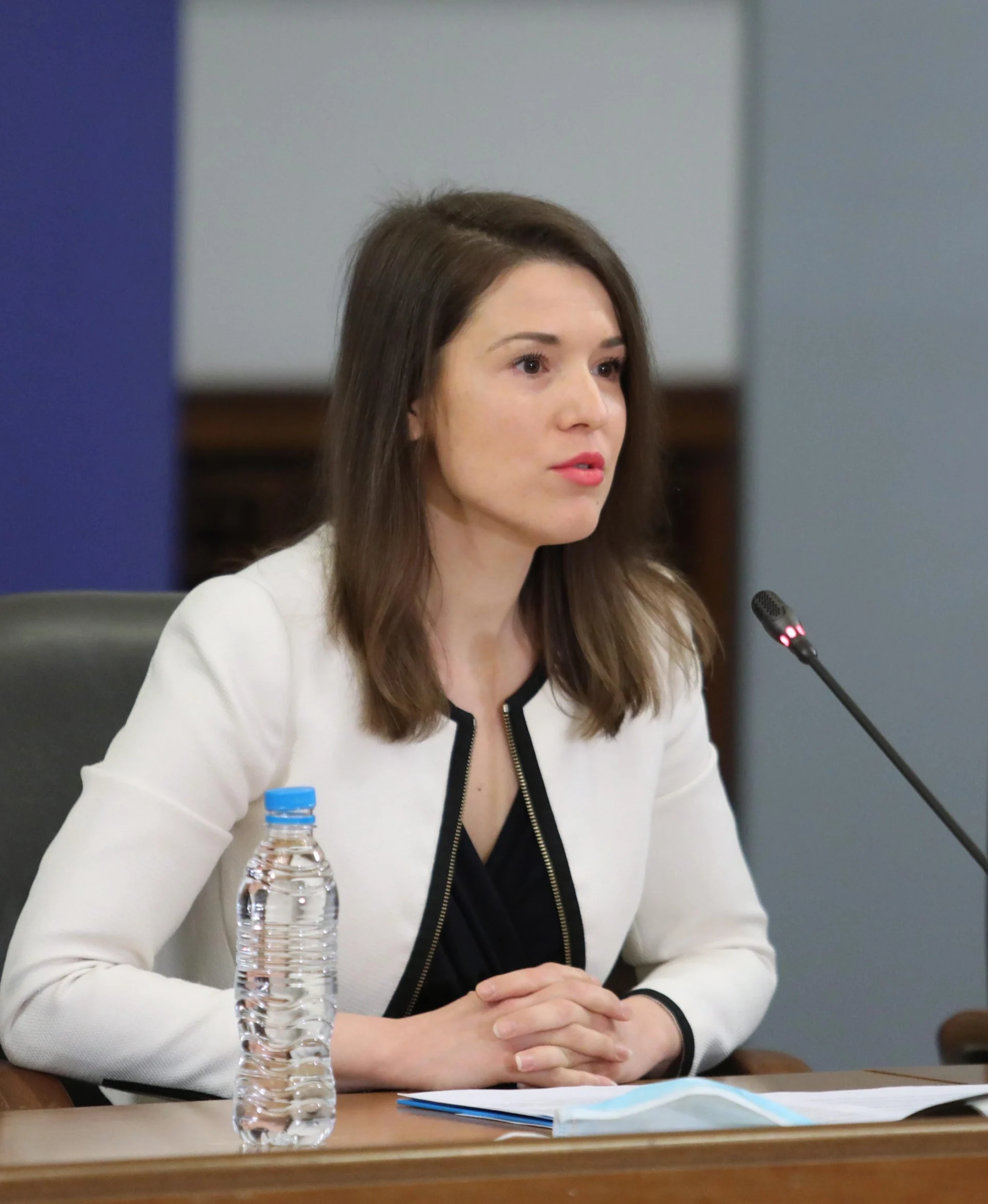 Министерски съвет брифинг фонд на фондовете Светослава Георгиева