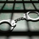Арестуваха 28 души в 7 държави при акция срещу педофилска мрежа