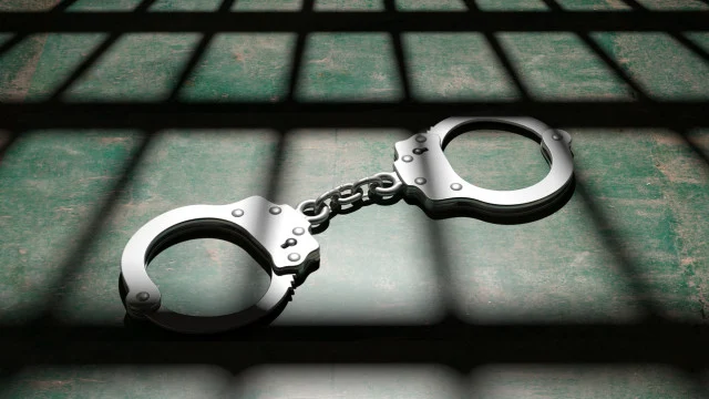 Арестуваха 28 души в 7 държави при акция срещу педофилска мрежа