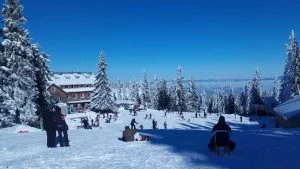 зима