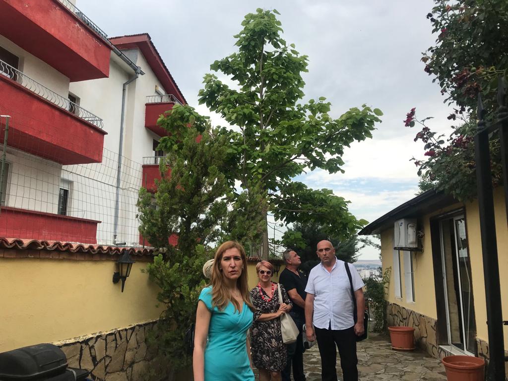 николина ангелкова