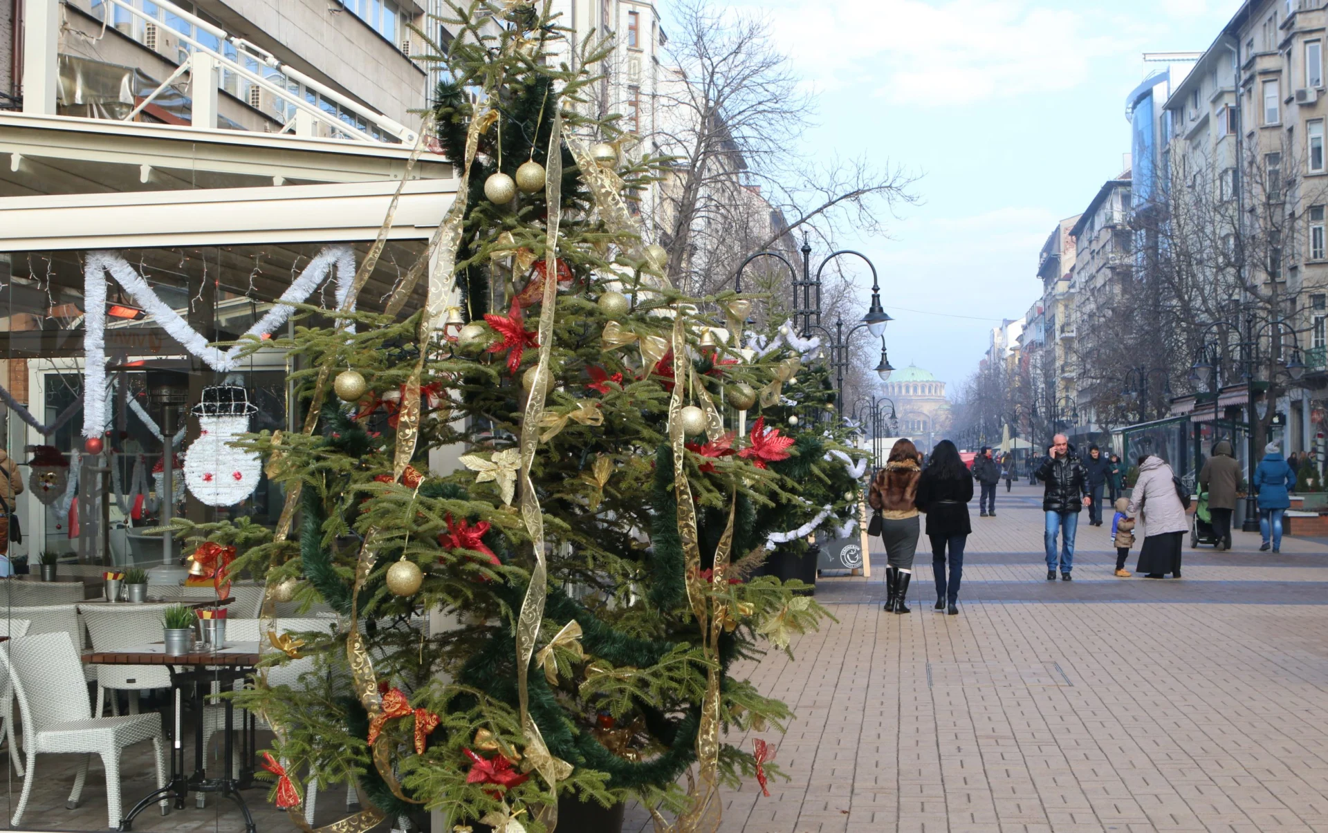 Витошка елха