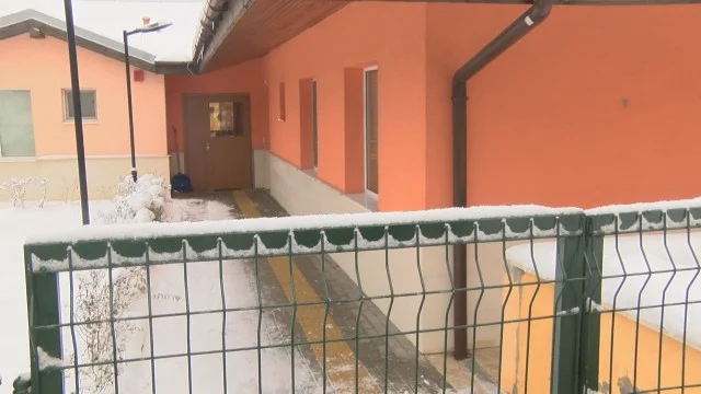 хризантема габрово