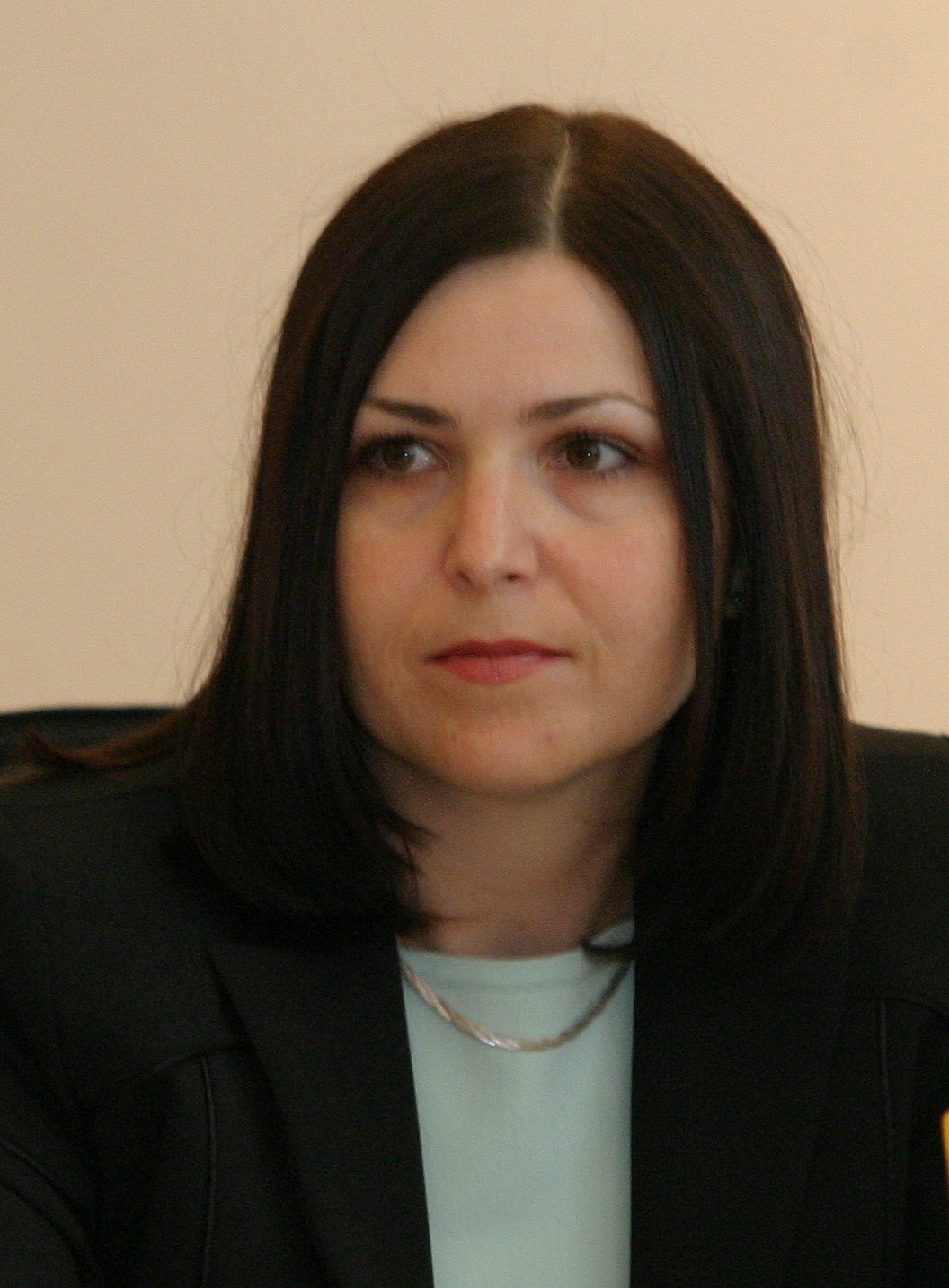 Министерство на икономикатанов Закон за обществените поръчкиМиглена Павлова - директор на Агенцията по обществените поръчки
