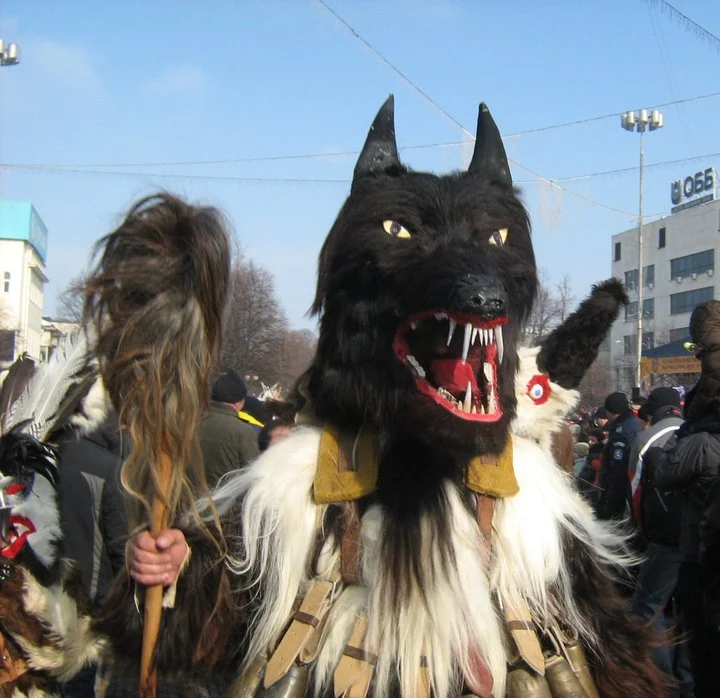 сурва