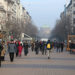 Витошка елха
