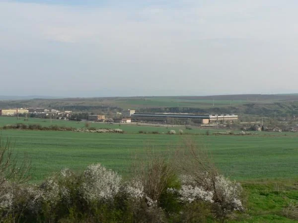 Бета 1