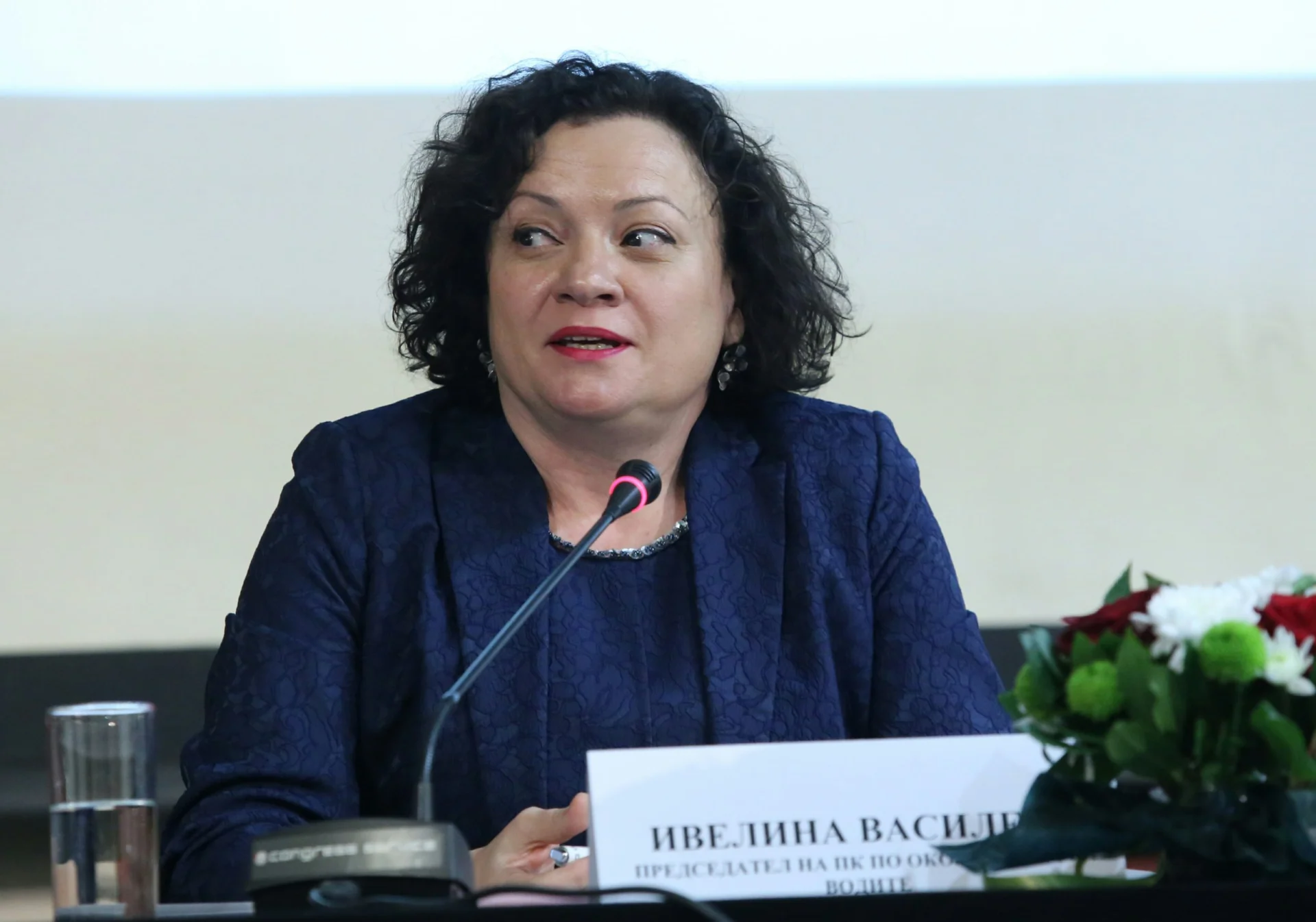 НСОРБ Ивелина Василева