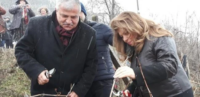 илияна йотова