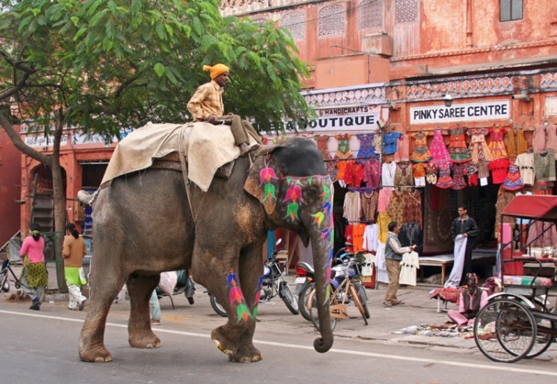 Migration Image