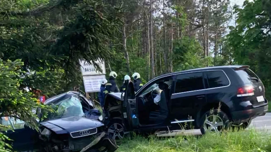Причините за катастрофата с колата на НСО край Аксаково са липсата на видимост и висока скорост