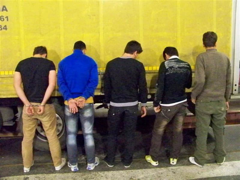 Migration Image