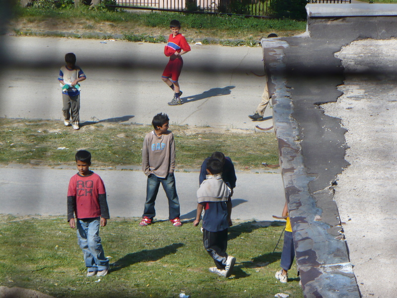 Migration Image