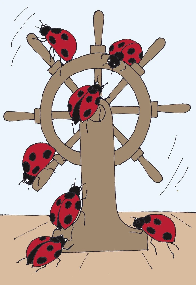 Migration Image