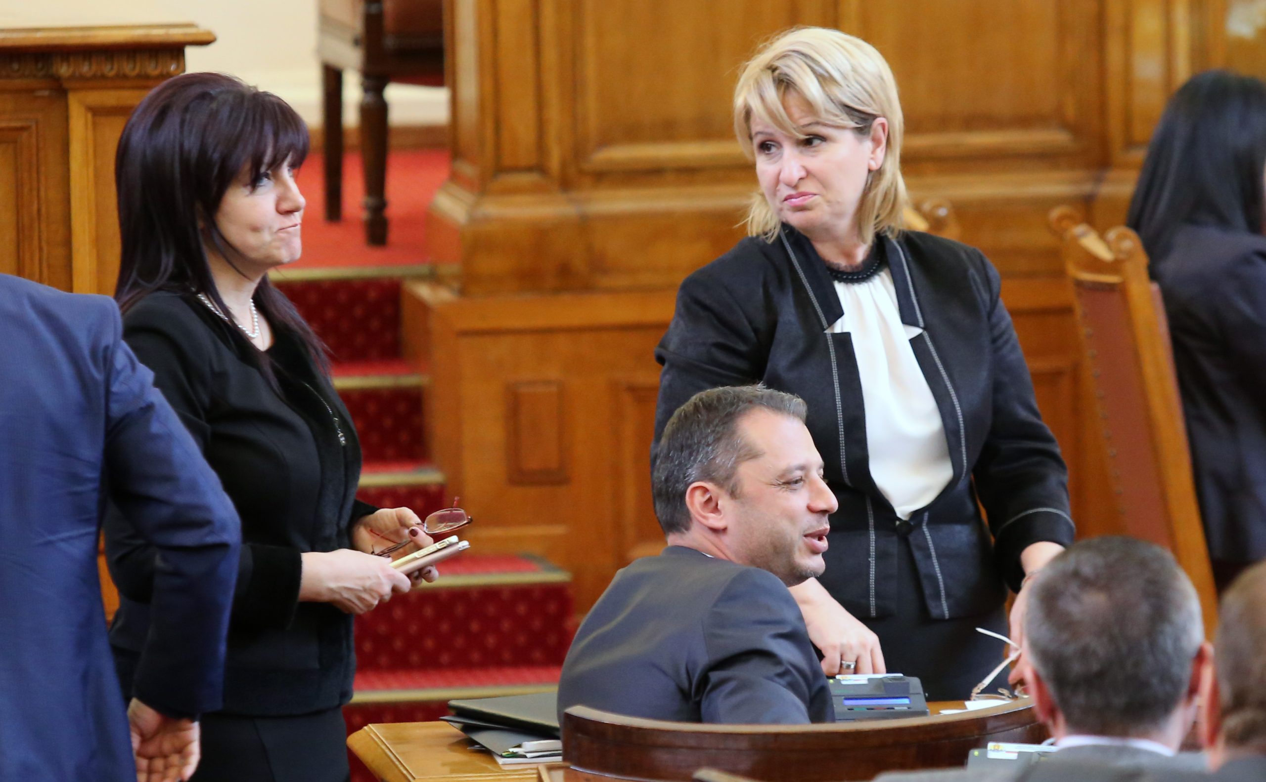 Парламент Цвета Карянчева