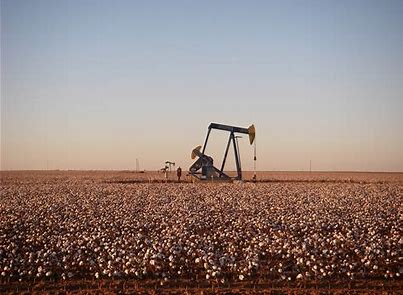 oil