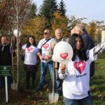 НДК - лирово дървозасадено в памет на хората