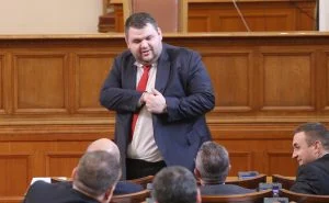 Парламент Делян Пеевски