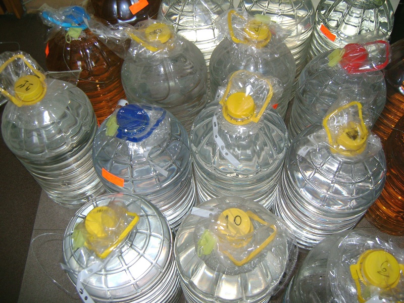 ракия