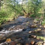 река ботуня
