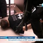 октопод