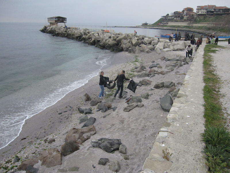 Migration Image