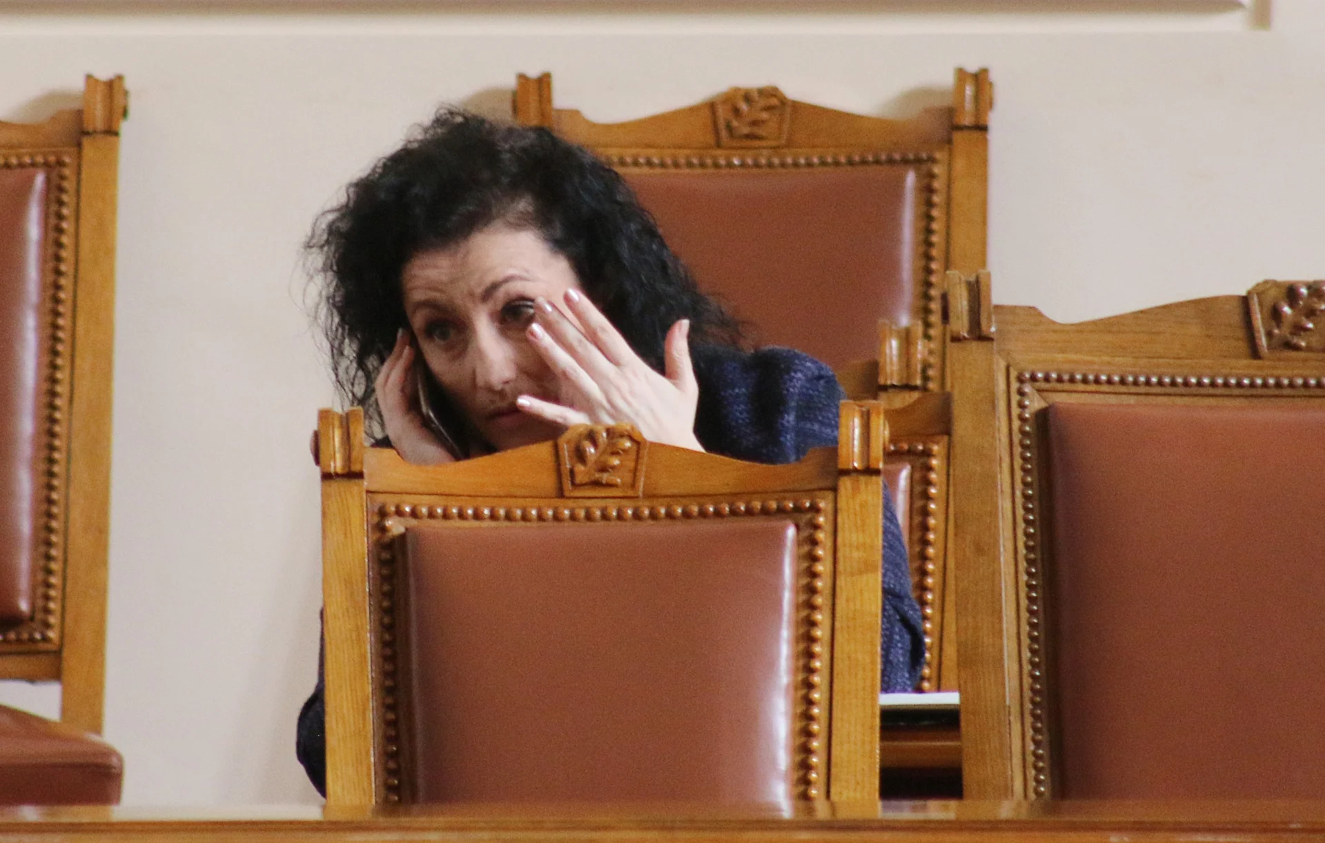 Парламент Десислава Танева
