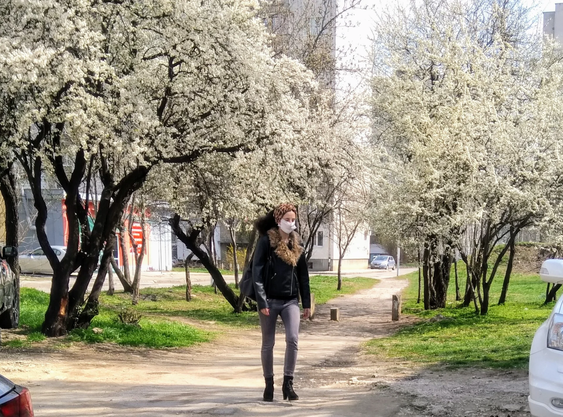София карантина