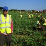 земеделие селско стопанство