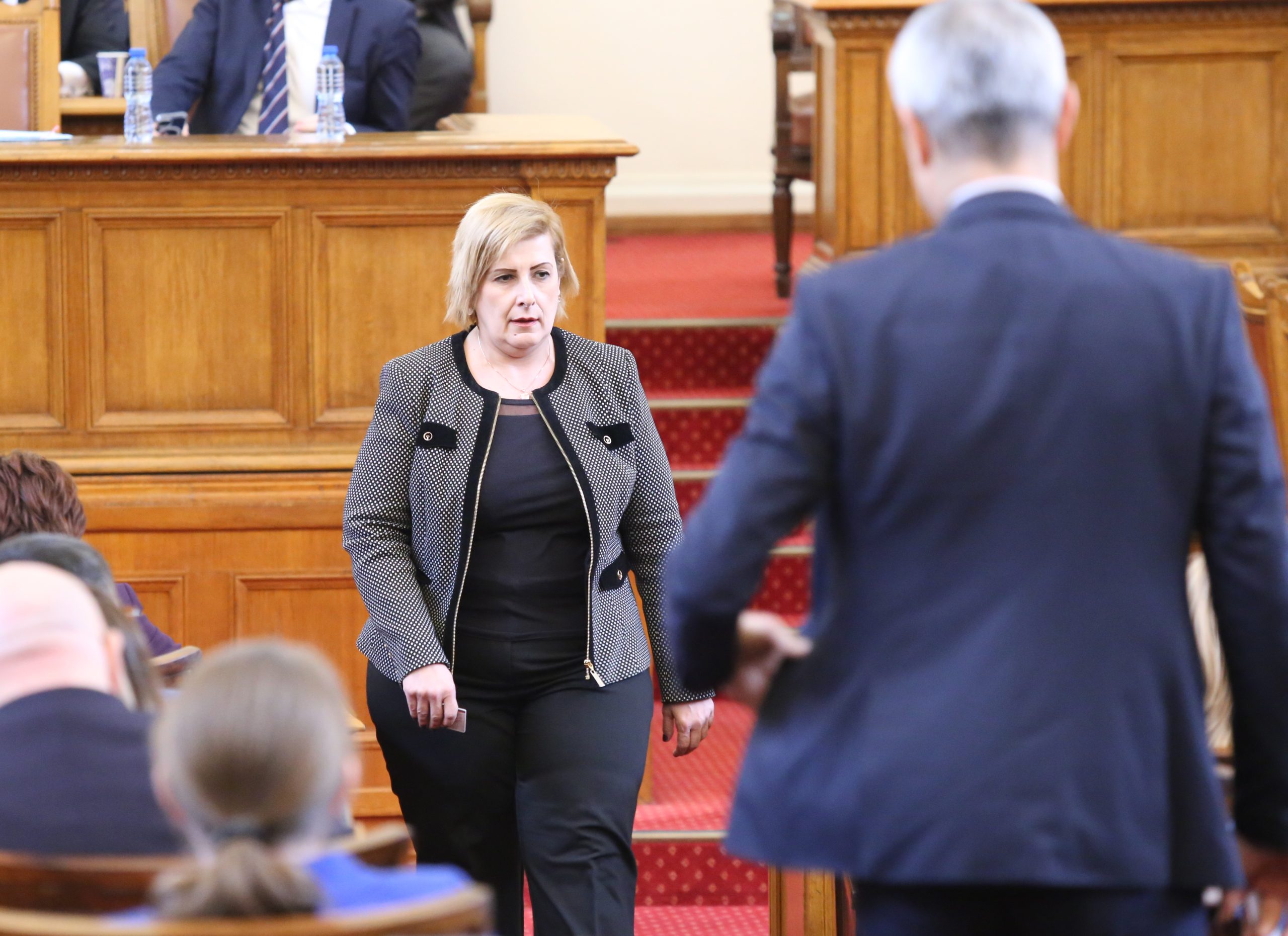 Парламент Елена Гунчева