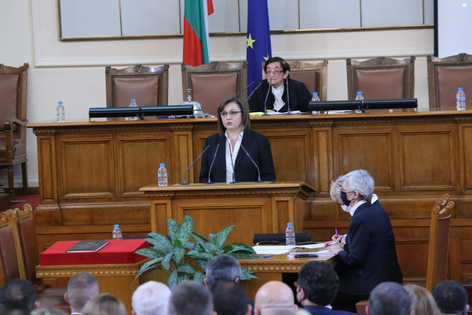 Парламент Корнелия Нинова