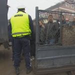 полиция роми