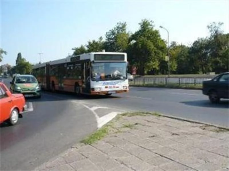 Migration Image