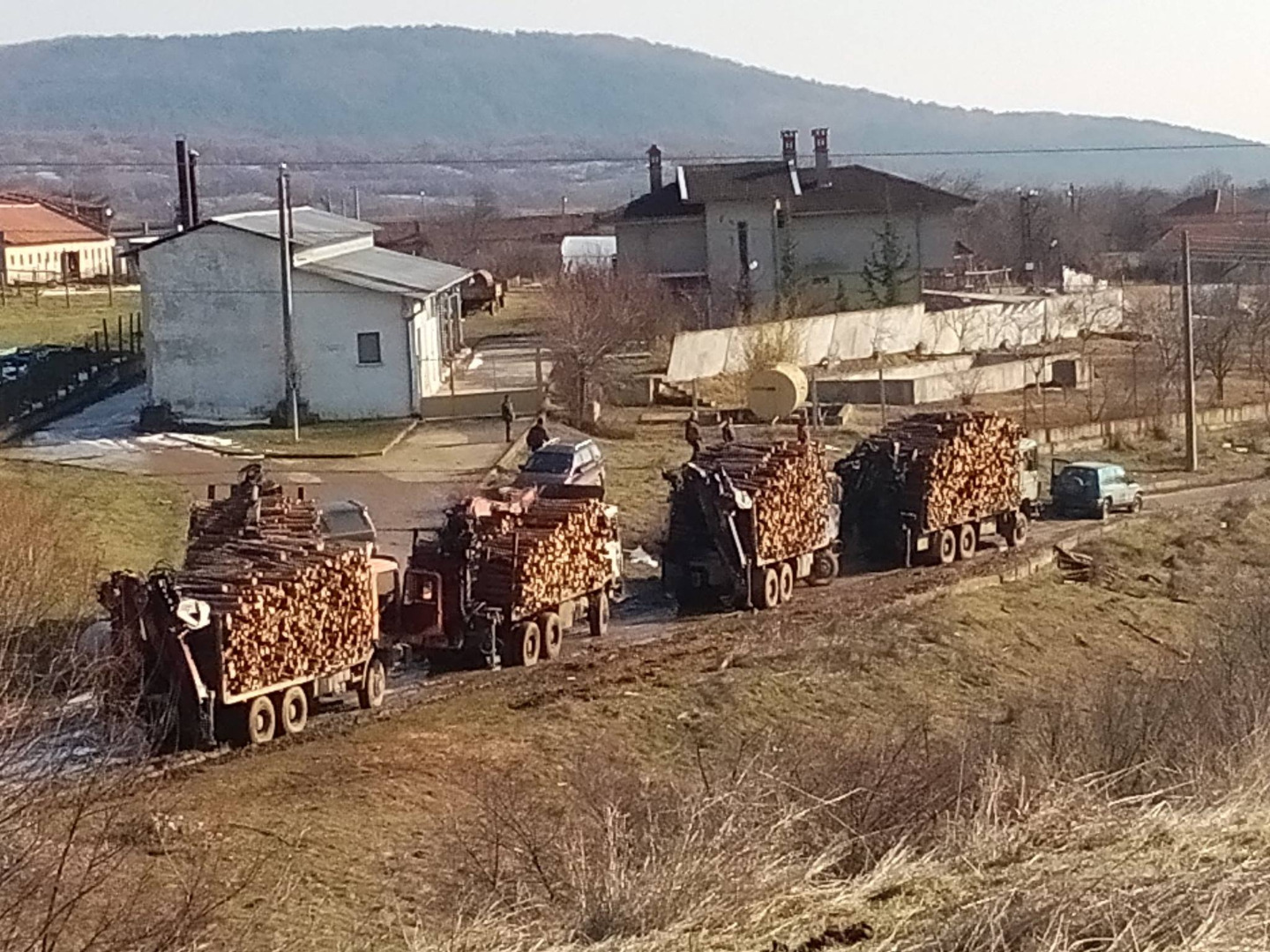 Незаконна сеч
