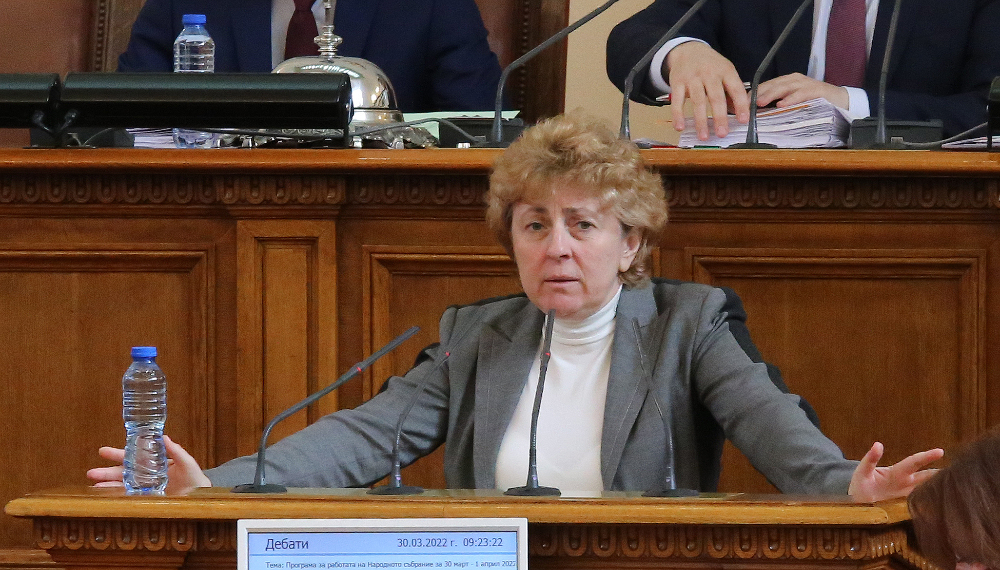 Парламент Виктория Василева