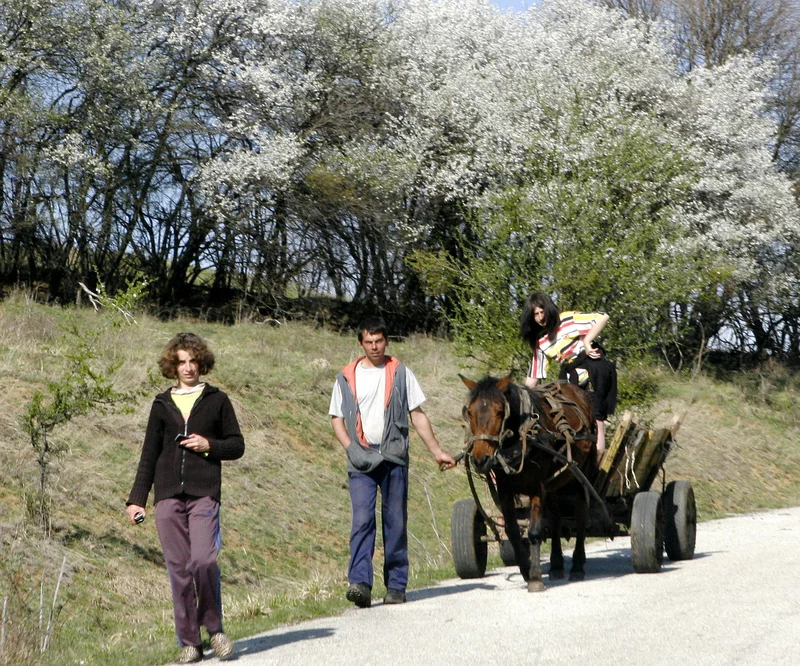 Migration Image