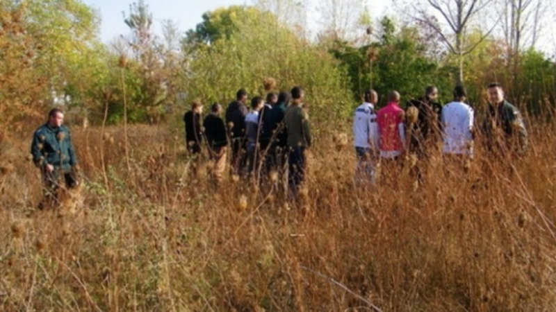 Migration Image