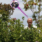 Доган - Пеевски - две в едно