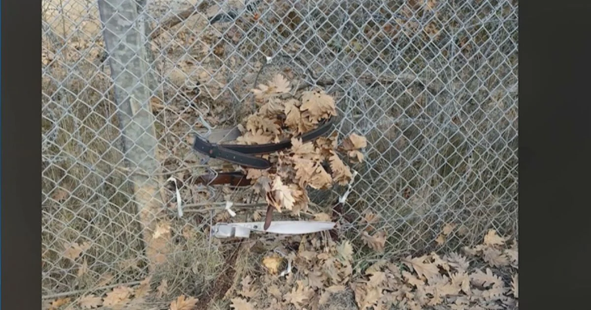 граничната ограда
