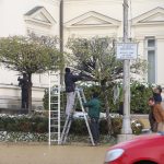 Парламент украса