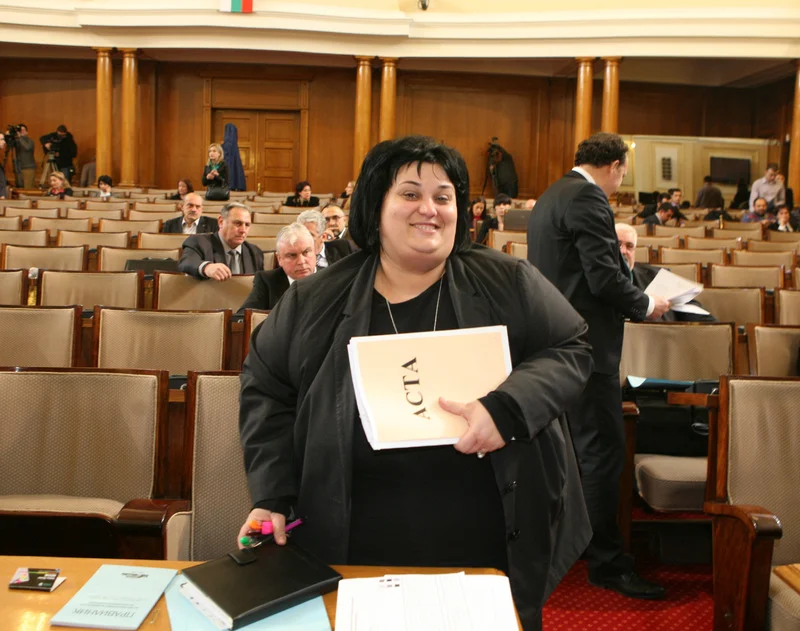 Председателят на правната комисия Искра Фидосова