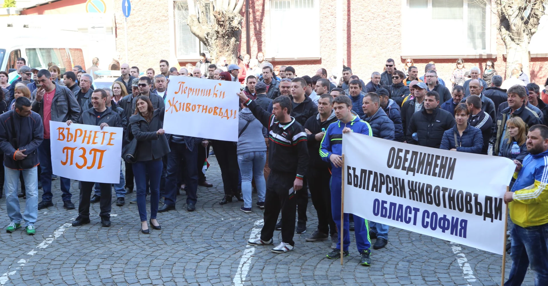 Протест на животновъди пред МЗ