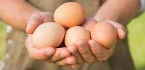 България ще поиска от Брюксел да забрани вноса на яйца от Украйна