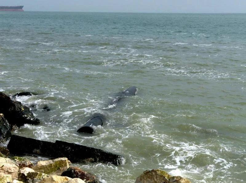 Migration Image