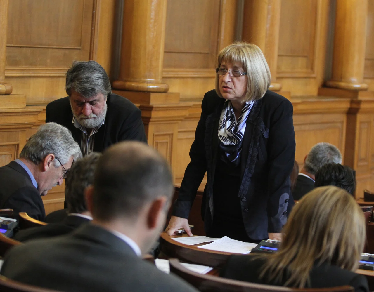 ПарламентВежди РашидовЦецка Цачева