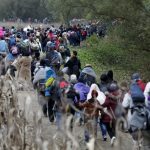 мигранти бежанци имигранти